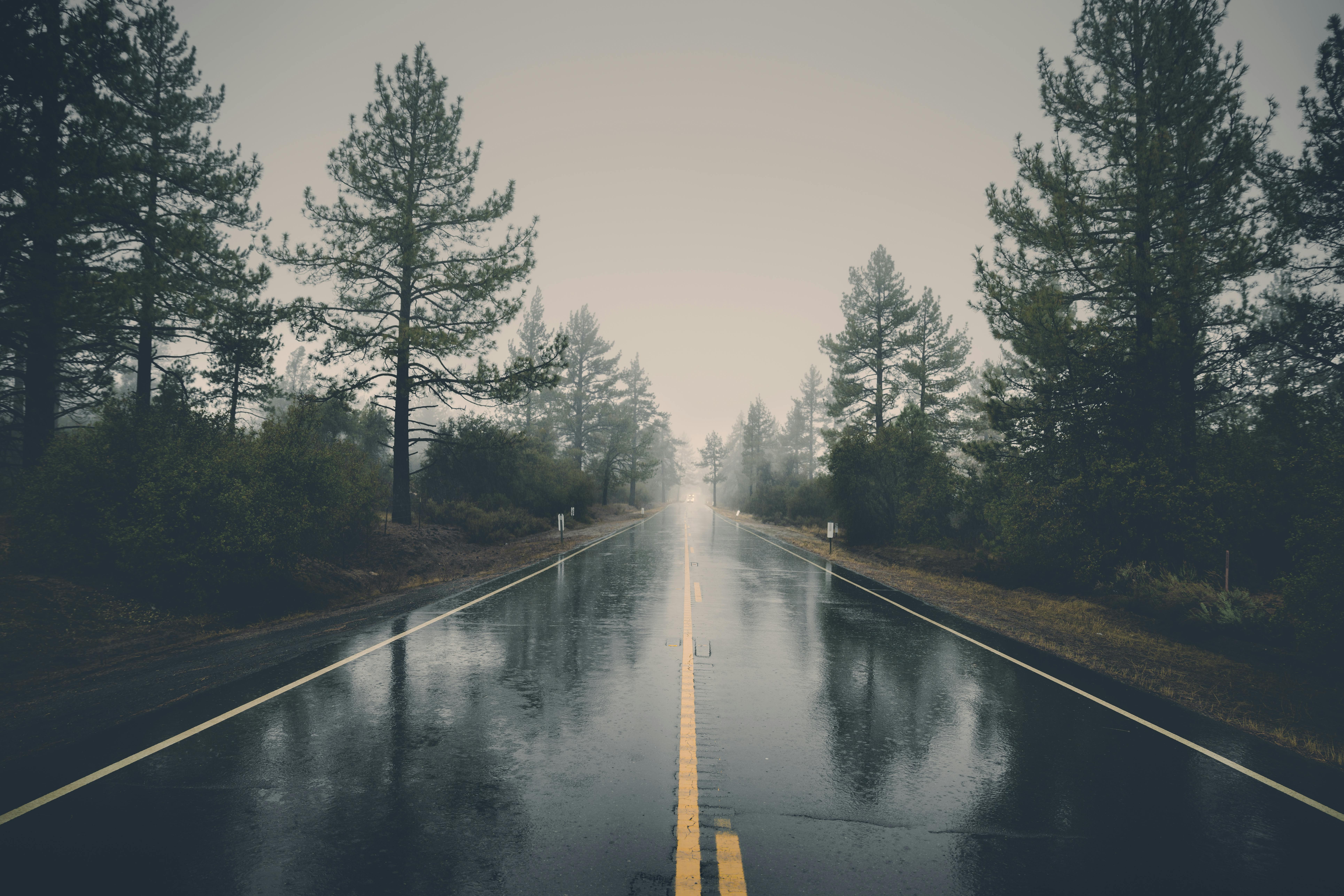 Wallpaper App